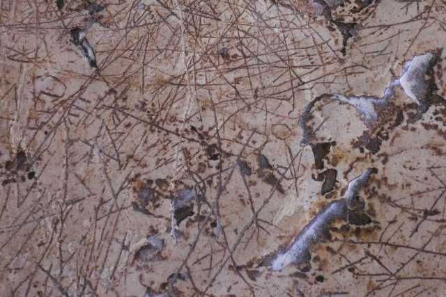 Spinazzola, quel "racconto" inciso 5mila anni fa su una roccia: �Sito unico, ma non tutelato�